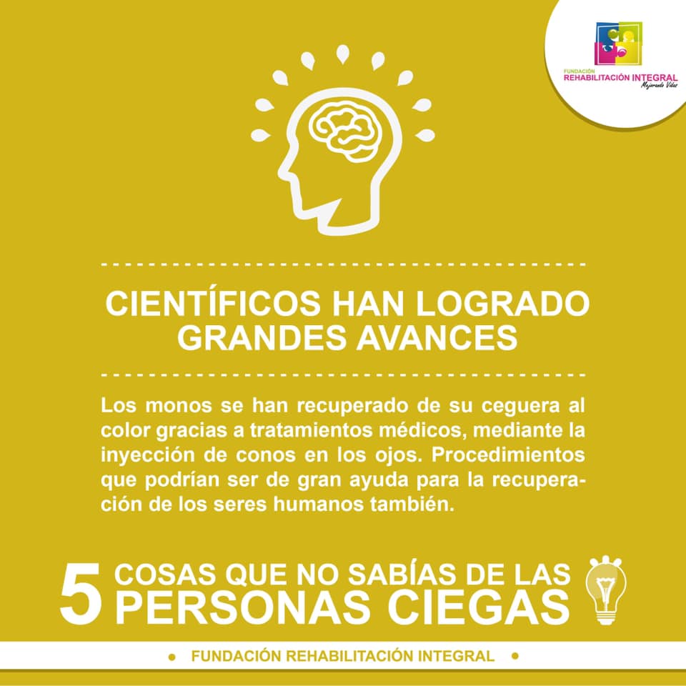 cinco datos importantes