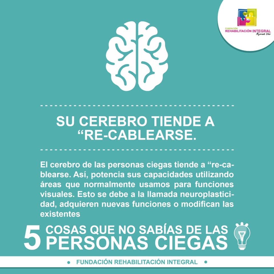 cinco datos importantes