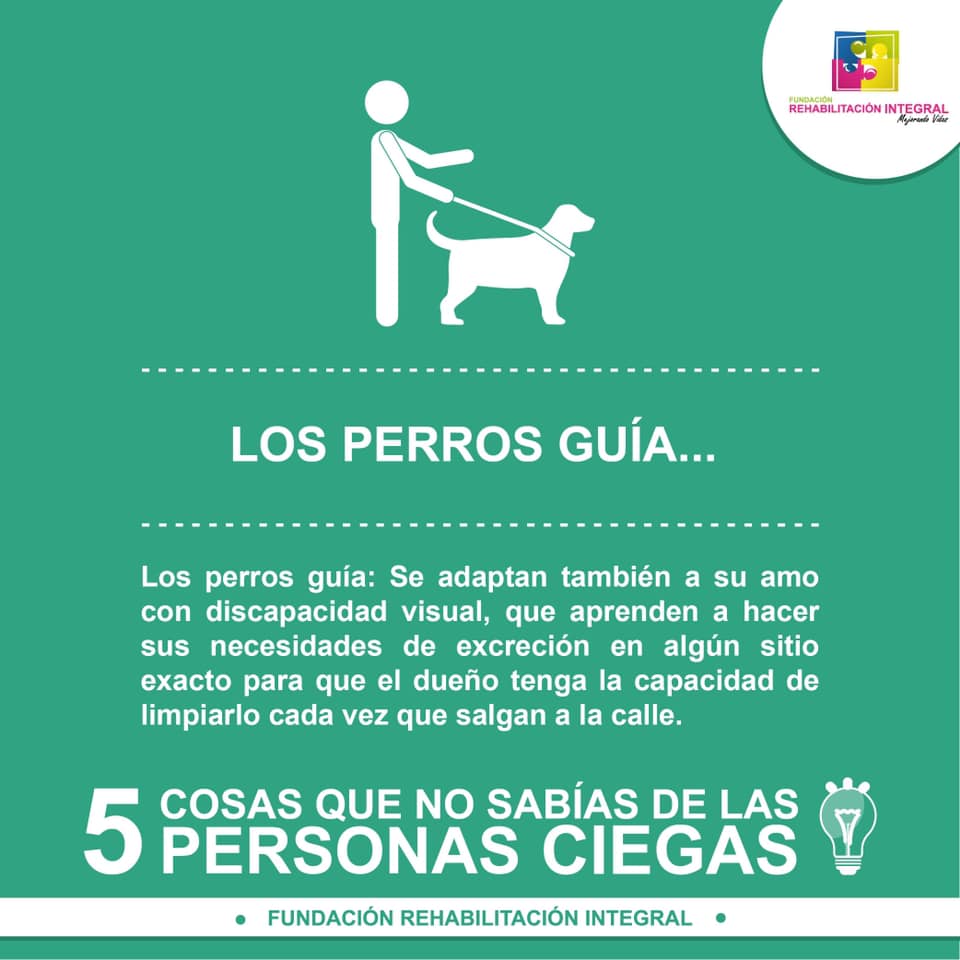 cinco datos importantes
